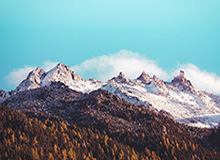 leyu分部-扎卡助伯恩利首取枪手 不愧是让亨利关电视的男人